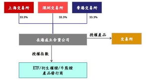深度融合 港、滬、深三地共筑新篇章 – 實(shí)證信息技術(shù)合資公司全解析
